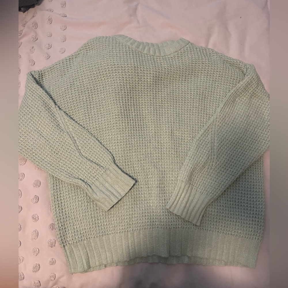 American Eagle Outfitters Light Green Sweater